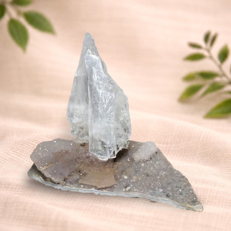 Gypsum